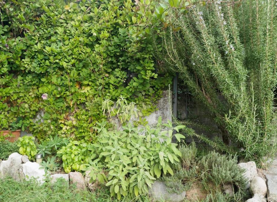 La Tua Villa Sul Lago - Casa Kollegger Luino Exterior foto